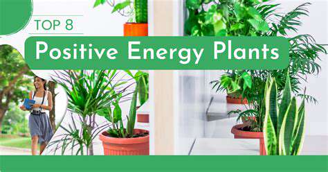 EnhancingPositiveEnergywithPlantsandWaterFeatures