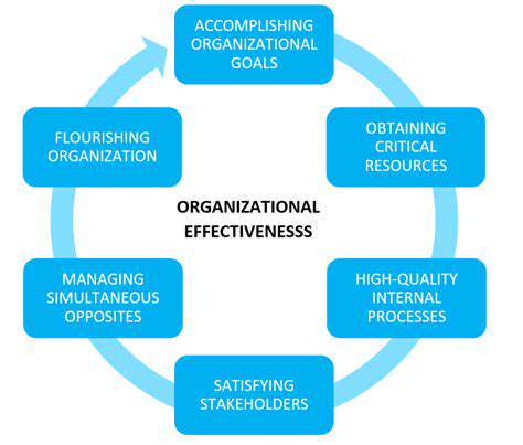 ImplementingEffectiveOrganizationSystems