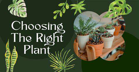 Feng Shui for Vertical Gardens: Space Saving Nature