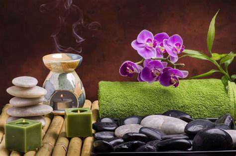 CreatingBee-FriendlySpaces:PrinciplesofFengShui