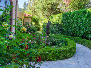Feng Shui for Trees: Rooted Stability