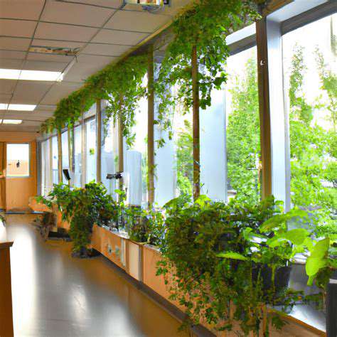 Feng Shui for Innovation Corner: Fostering New Ideas