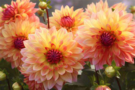 IncorporatingPlantsandFlowersforAbundanceandGrowth