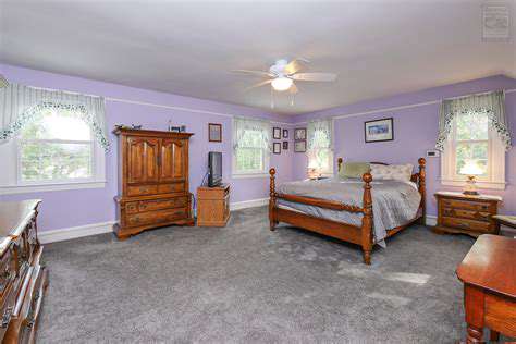 The Harmonious Home: A Feng Shui Blueprint