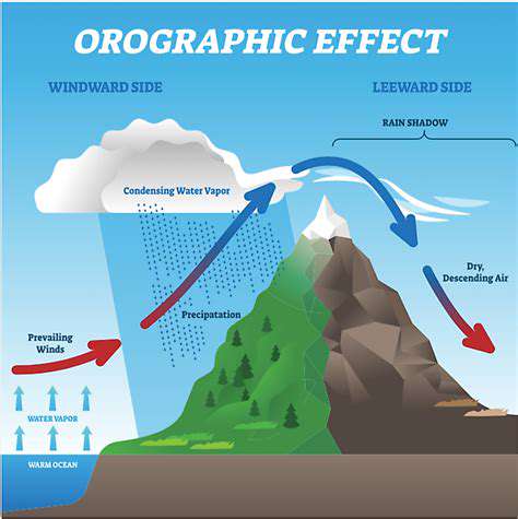 Feng Shui for Wind Direction: Protecting Your Home