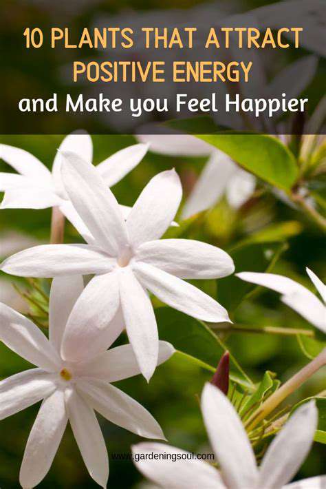 ChoosingtheRightFlowersforPositiveEnergy