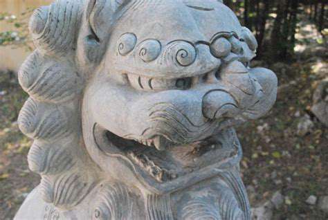 IntroductiontoTotemAnimalsandFengShui